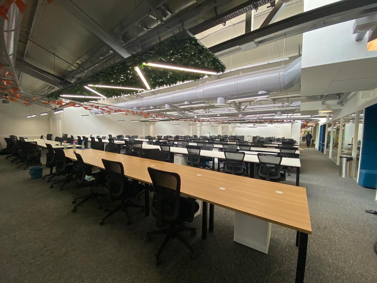 Oak-top workstation benches with black mesh chairs under an open ceiling with a green planter