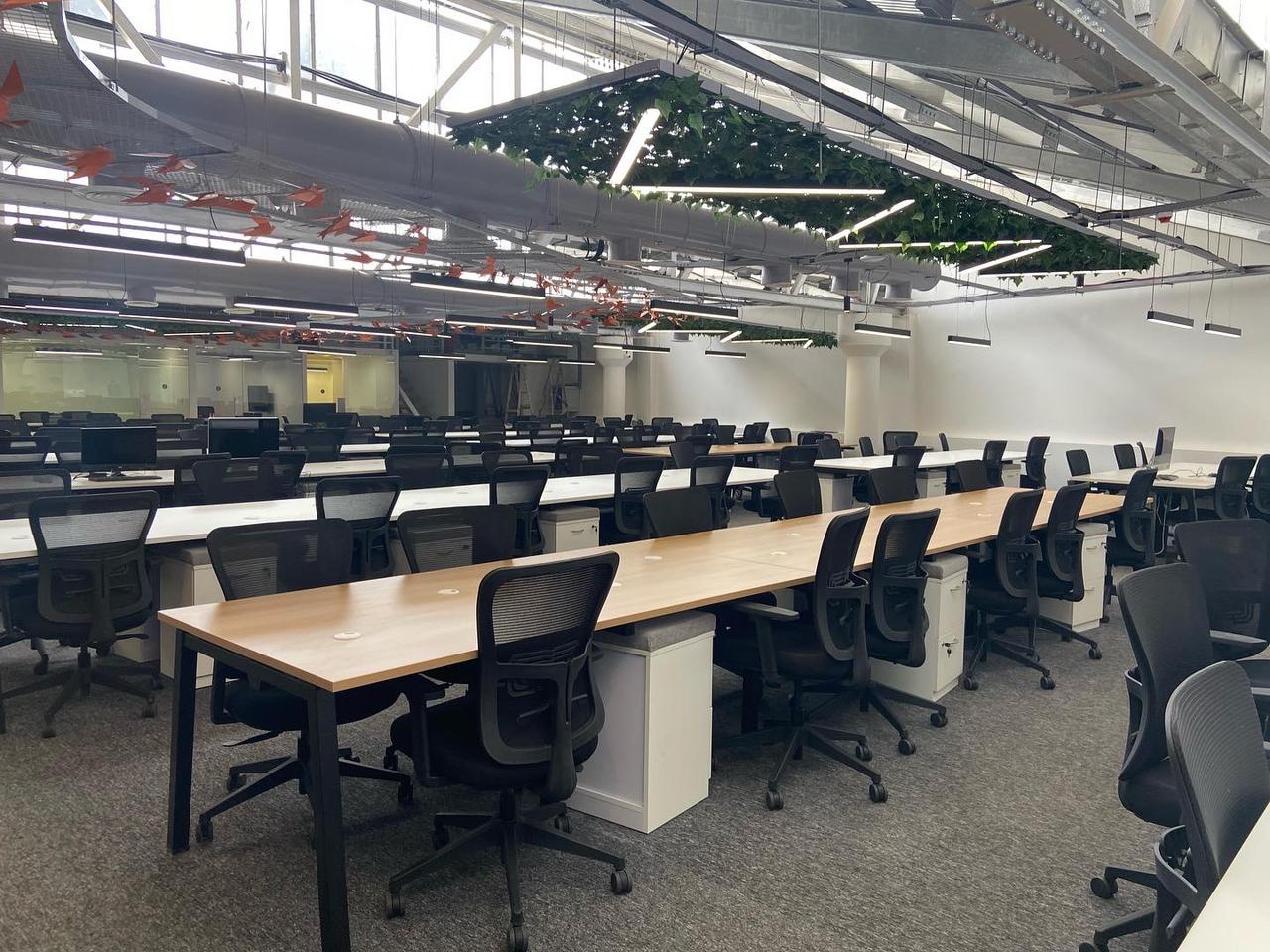 Wide view of an office floor with oak and white workstation benches under a green ceiling planter