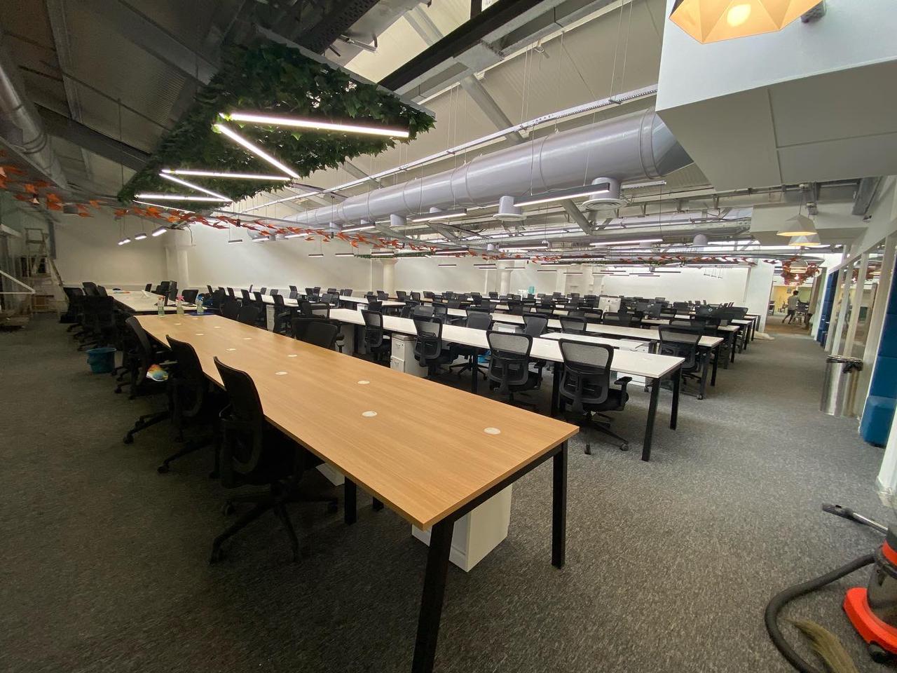 Oak-top workstation bench in the foreground of a large office with a green ceiling planter